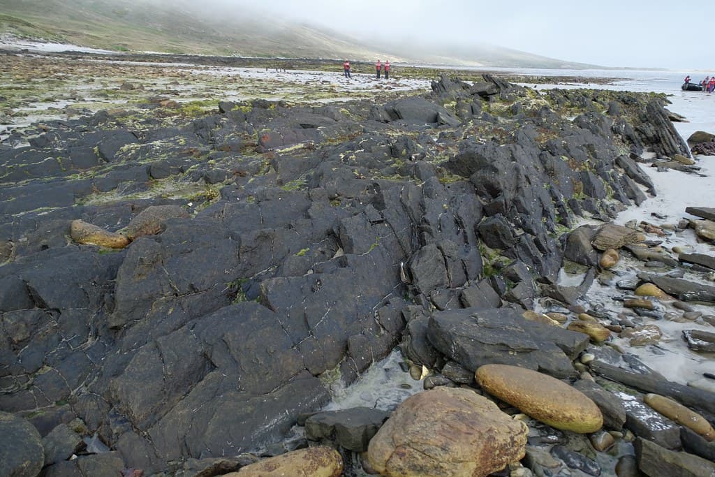 Carcass Island, the Falklands