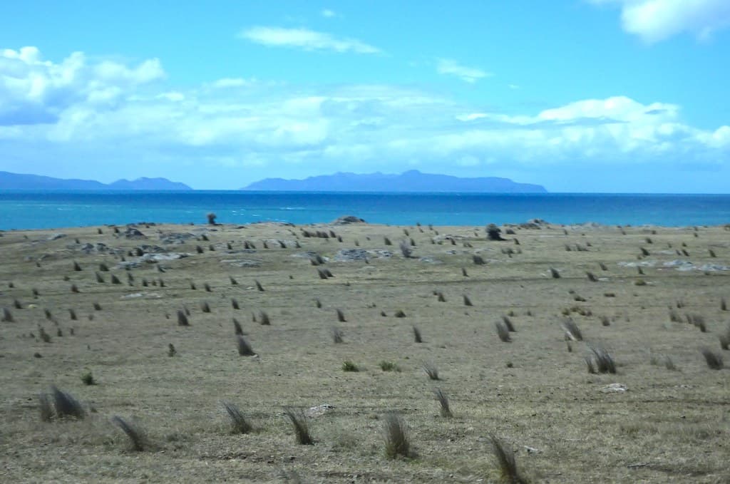 Tasmanian East Coast. Windswept view of the Freycinet Peninsula from the highway with windswept tufts of grass.