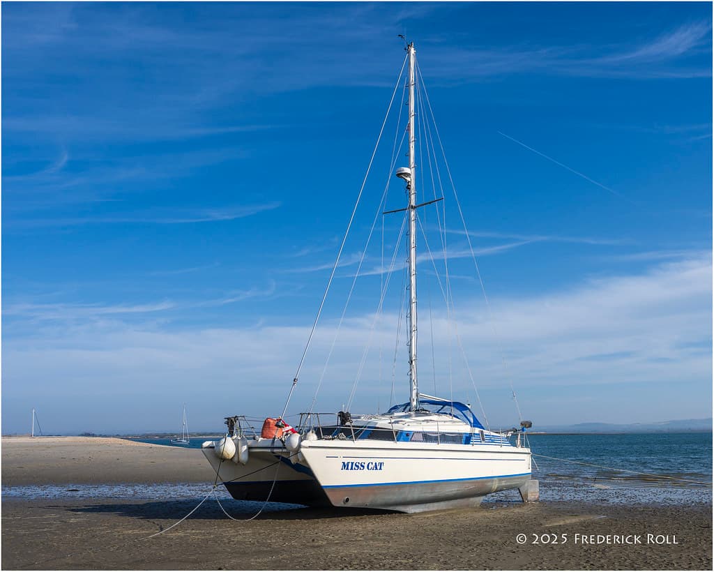 Bracklesham Bay Beach — photo by © Freddie