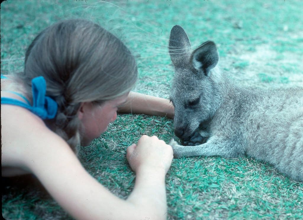 B6R127-09 Trish chats up a roo