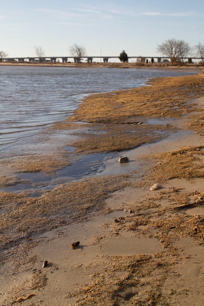 Ferry Point Park in Kent Narrows, Md.