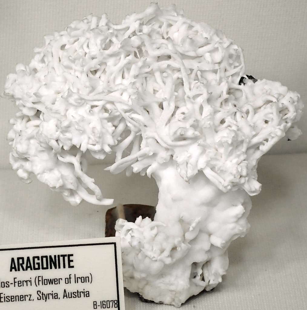 Aragonite helictites (Eisenerz, Austria) 2