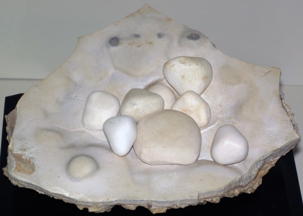 Aragonite cave pearls (Eisenerz, Austria)