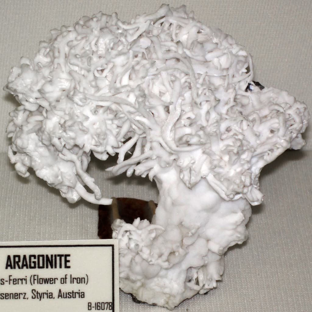 Aragonite helictites (Eisenerz, Austria) 1