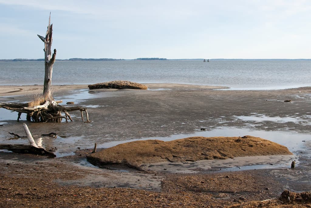 Ferry Point Park in Queen Anne's County, Md.
