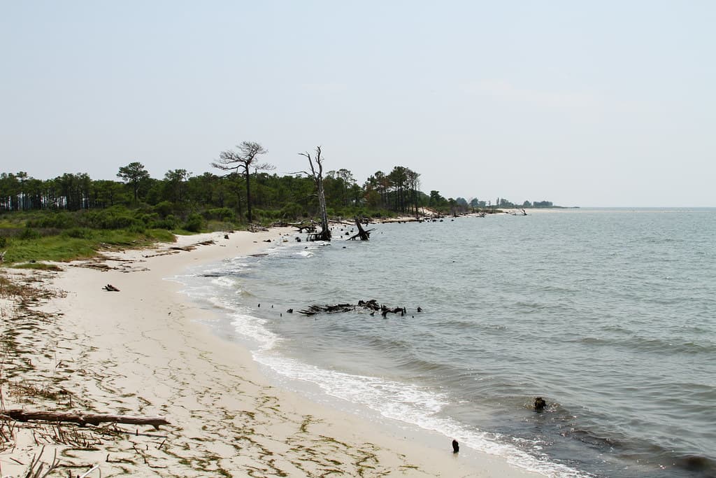 Deal Island Beach view 3