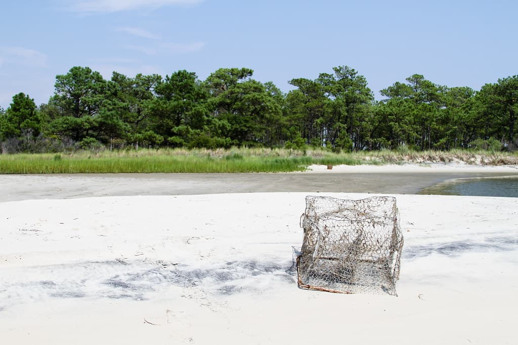 Deal Island Beach — photo by chesbayprogram