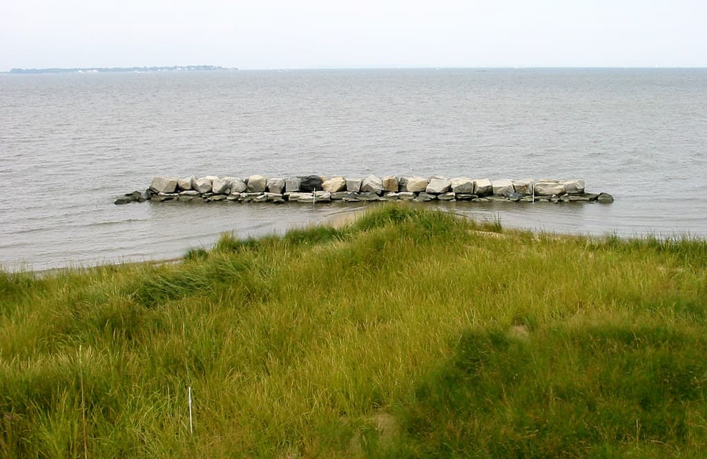 Mago Vista Park Beach — photo by chesbayprogram