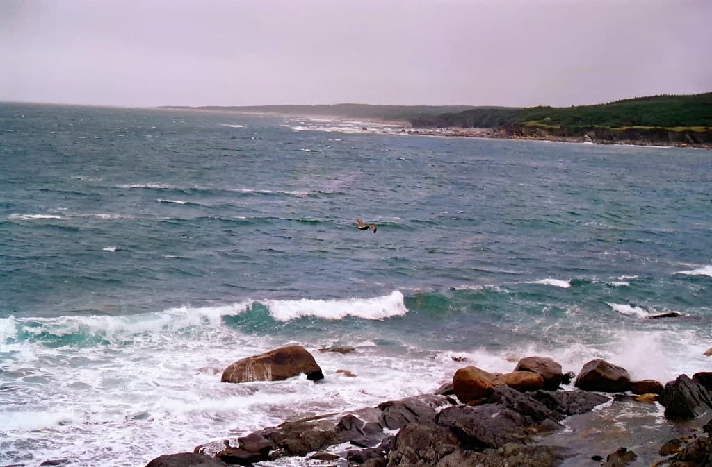 Rocky Harbour Beach — photo by nyanchew