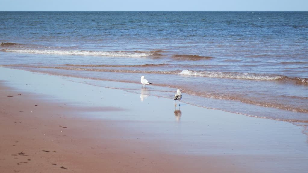 North Rustico Beach — photo by Bob Linsdell