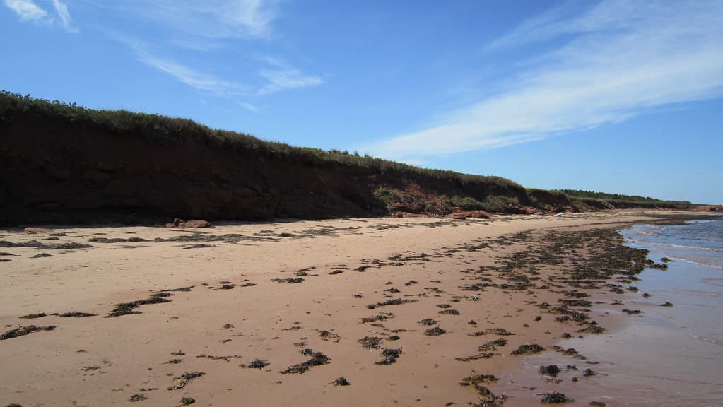 Cavendish Beach — photo by Bob Linsdell
