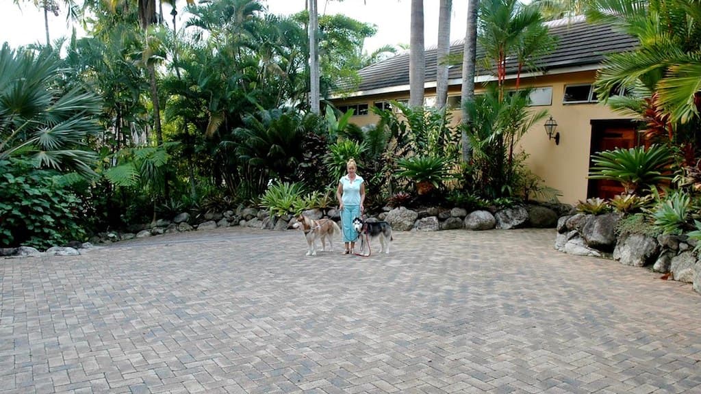 Mish and Cossack in the courtyard of our house in Port Douglas.Queensland