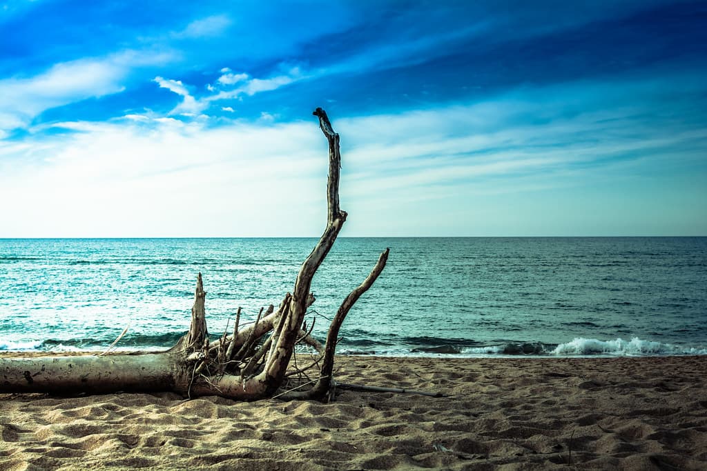 Playa de La Ribera — photo by Luis Marina