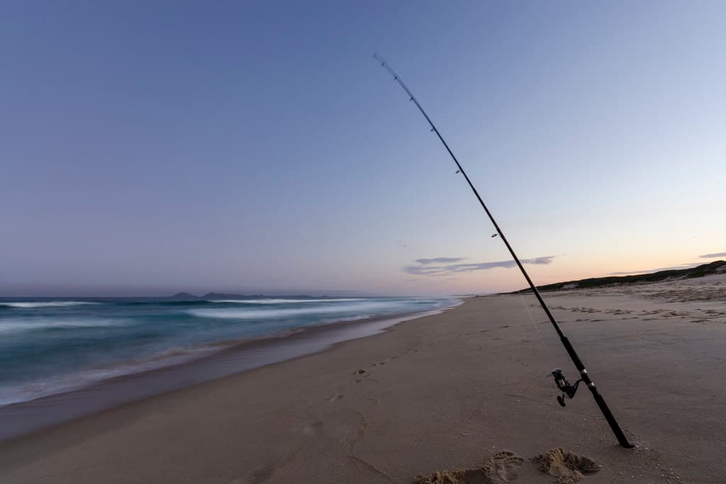 Fishing
