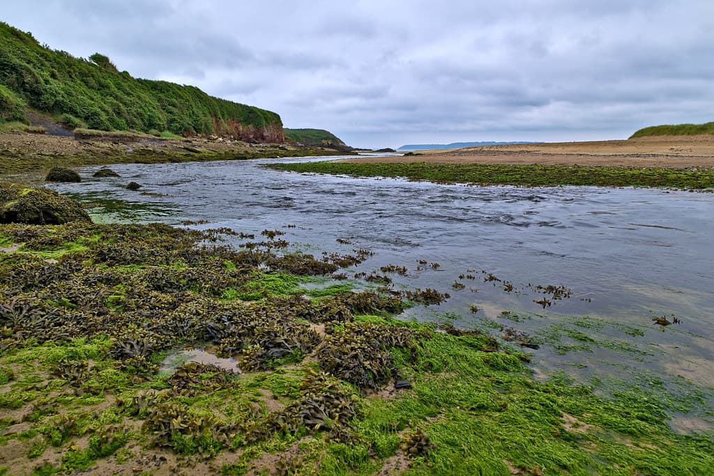 Plage de l'Aber