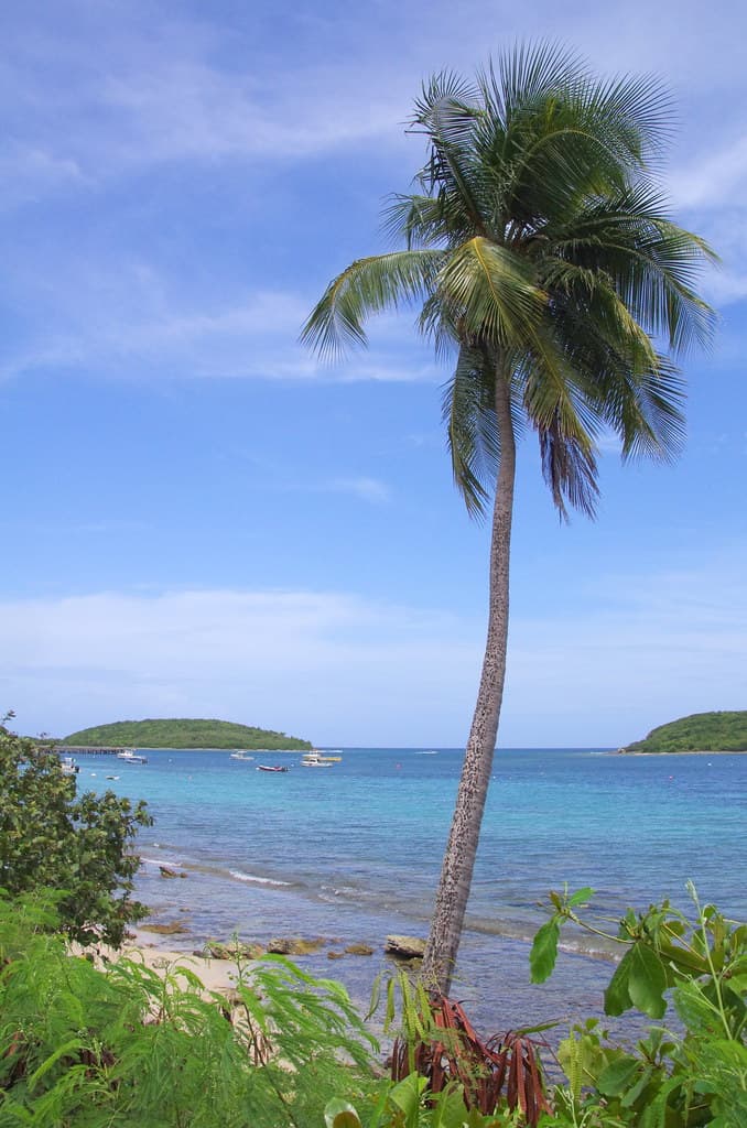 Playa Grande Beach — photo by sarowen