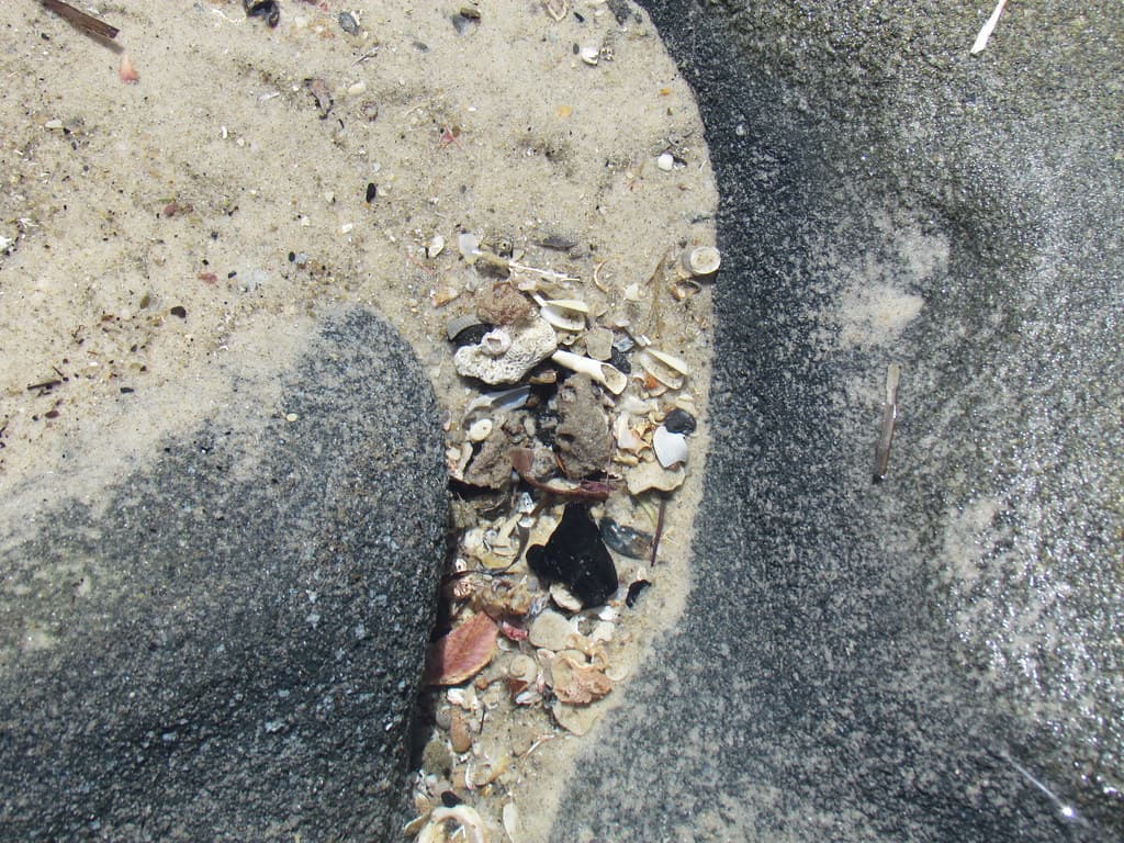 Happy Valley Rockpools
