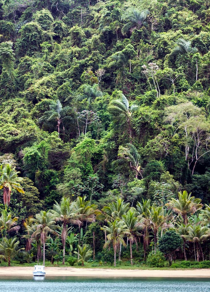 Parati vertical