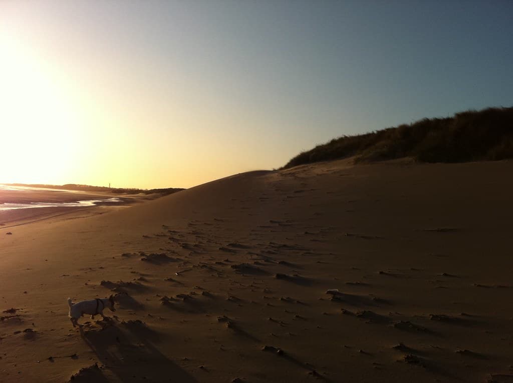 Cresswell Beach — photo by hawkeye108