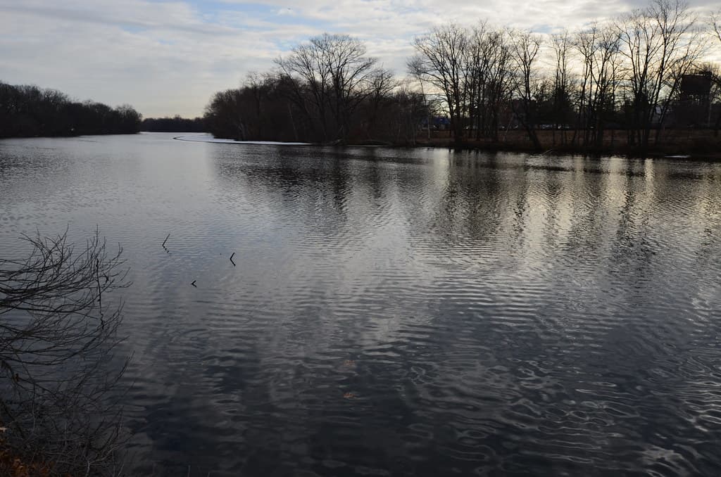 Charles River at Greenough Boulevard by North Beacon Street, Watertown