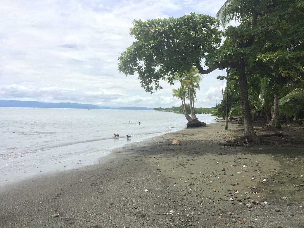 Playa Pejeperro — photo by caminosdeosa_maps