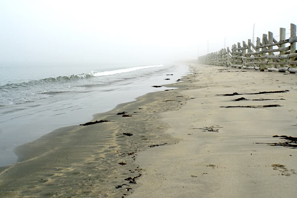 NS-00948 - Island end of Cresent Beach