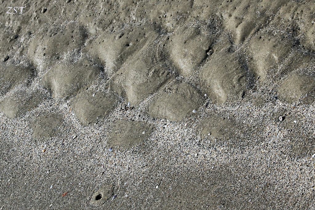 Mustang Island State Park Beach