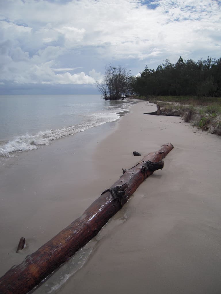 Toogoom beach and foreshore