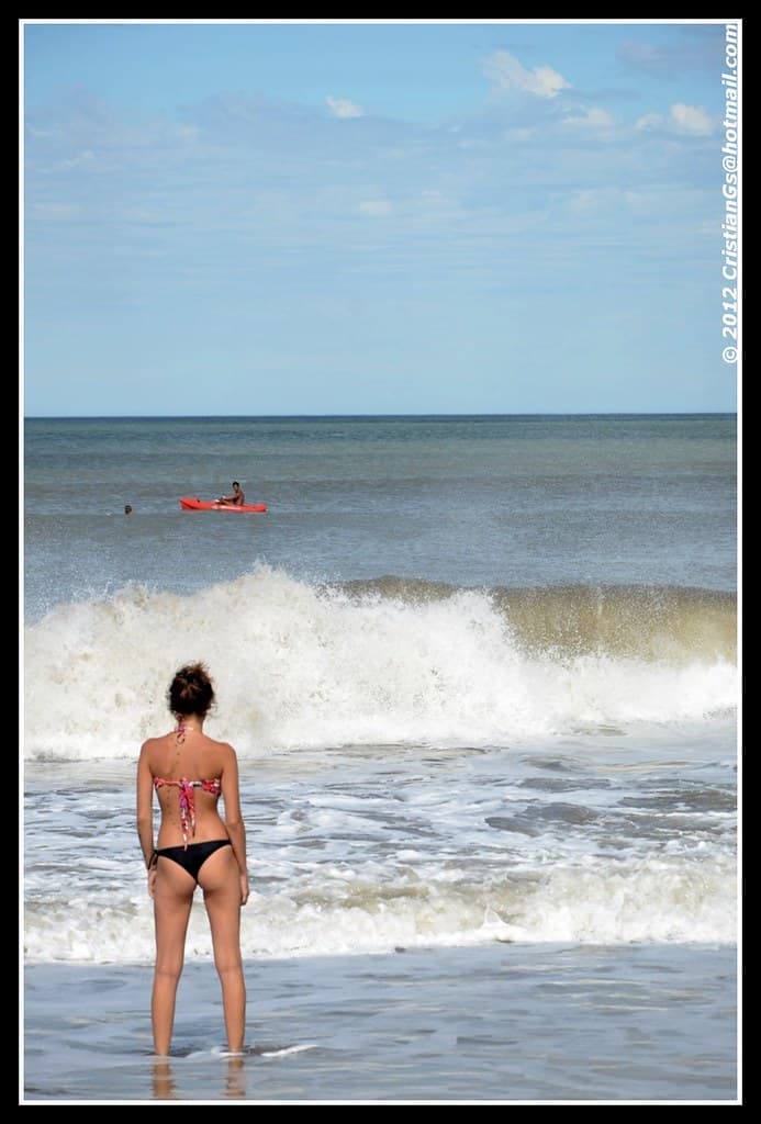 065/365 - Proyecto 365