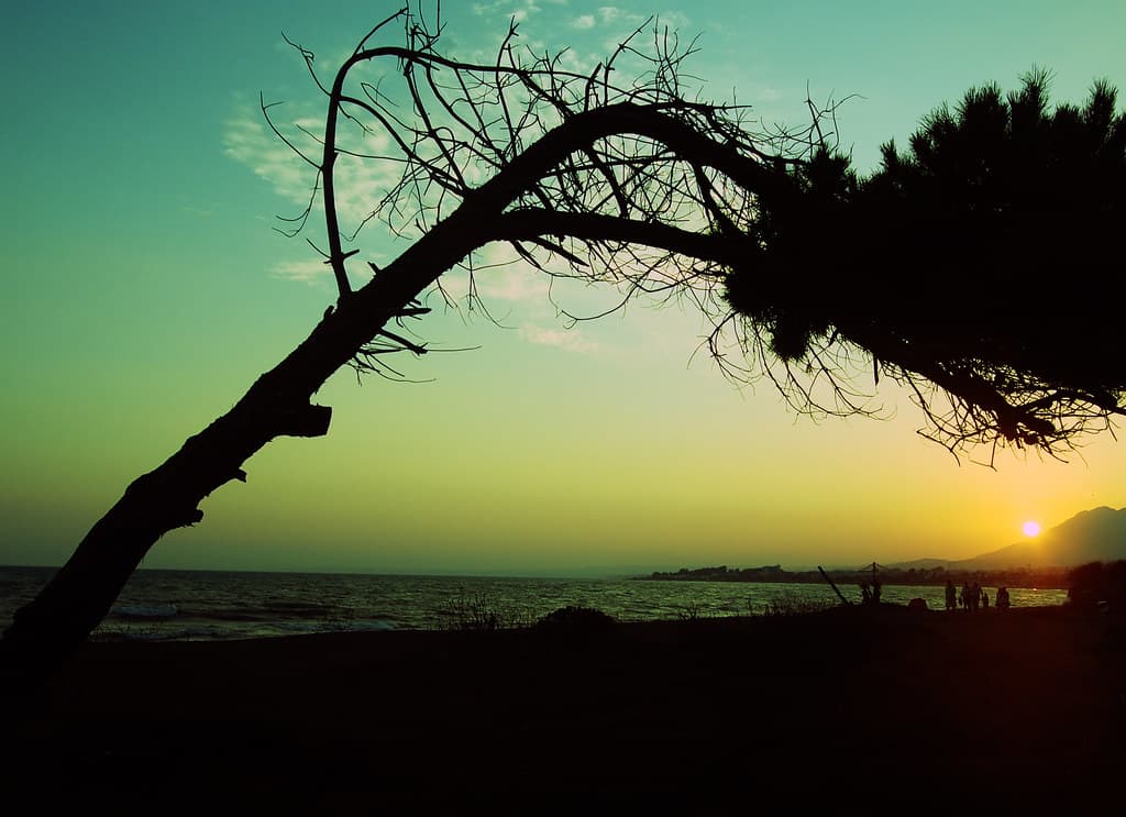 Playa de Guadalmansa — photo by Mircea2011