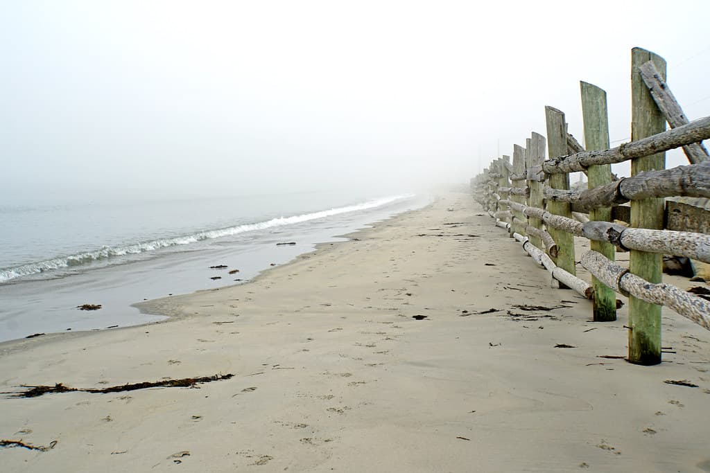 NS-00946 - Island end of Cresent Beach