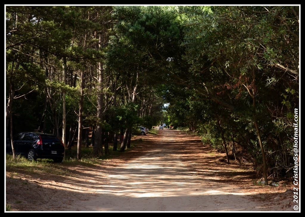 102/365  - Proyecto 365