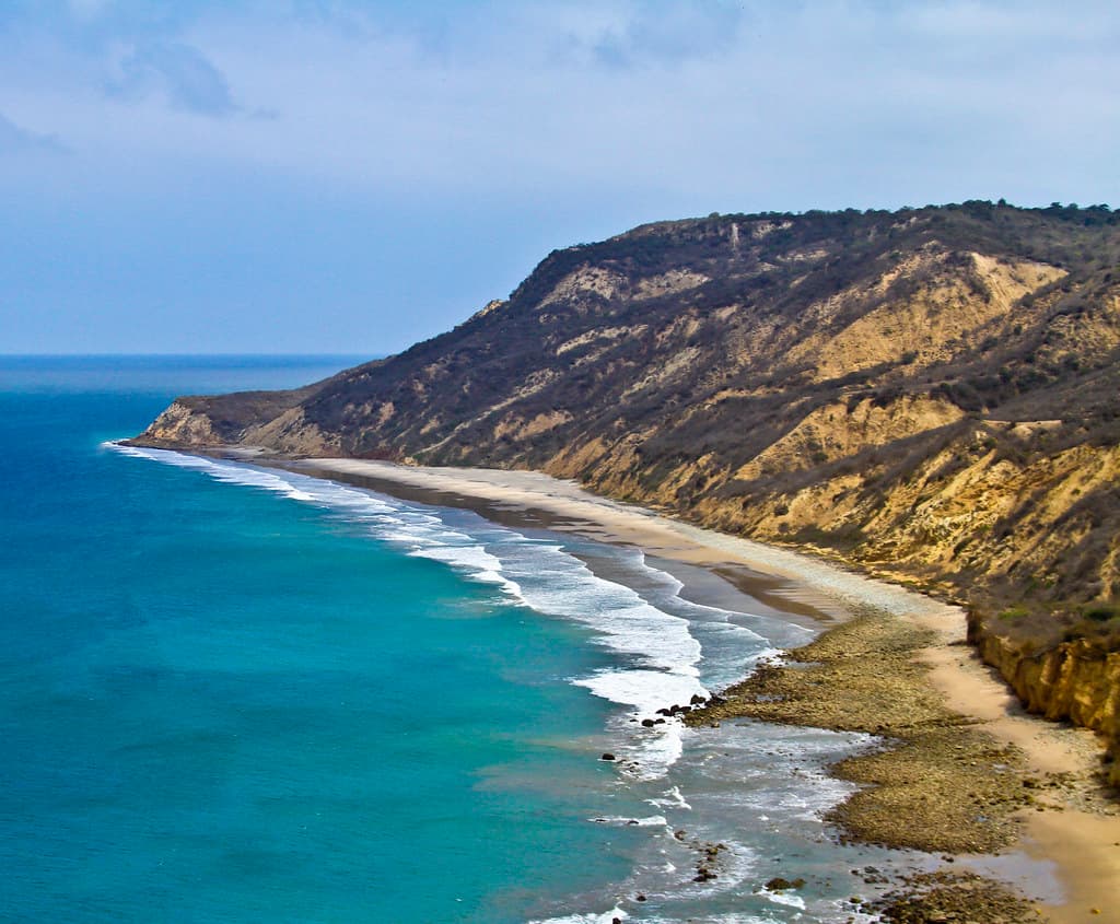 Manta Coastline