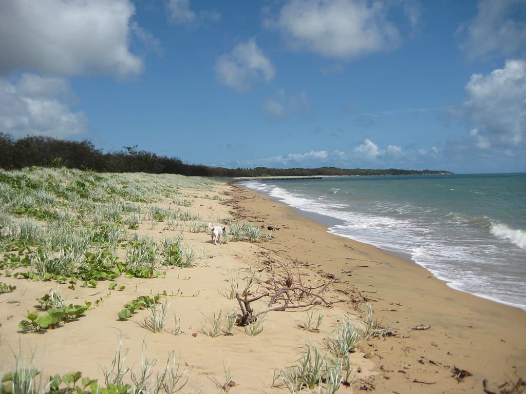 Near the swimming enclosure on Bucasia Beach