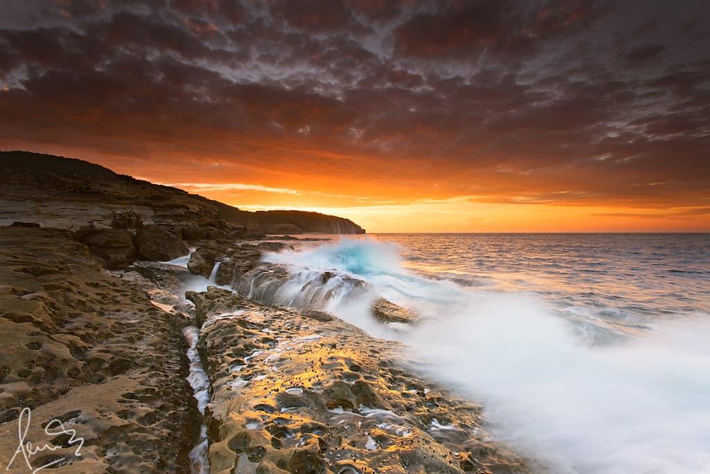 Gleaming Gold at Putty Beach Central Coast