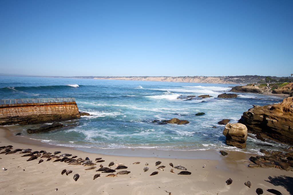 La Jolla Coast - San Diego California