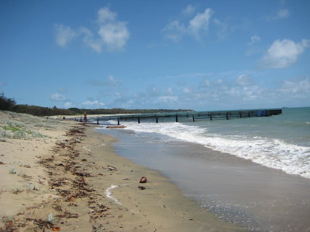 Near the swimming enclosure on Bucasia Beach