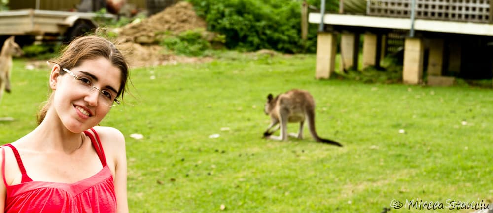 20110219-Pebbly Beach-1697.jpg