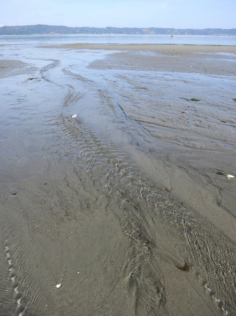Dash Point State Park Beach view 2