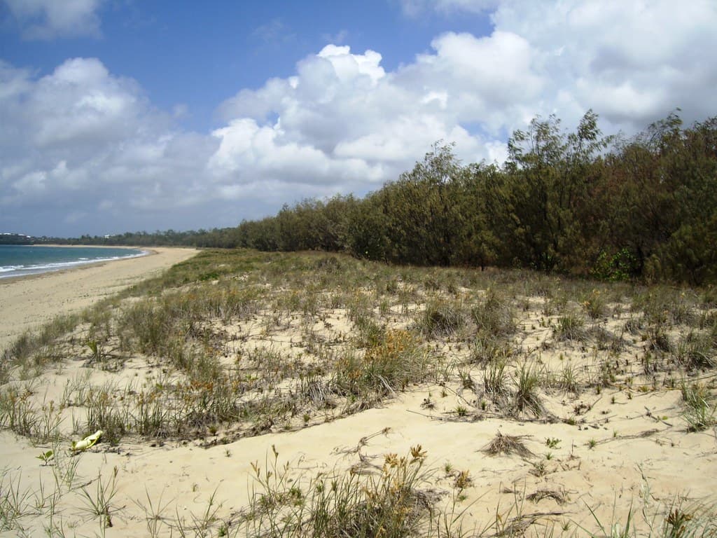 Bucasia Beach view 2
