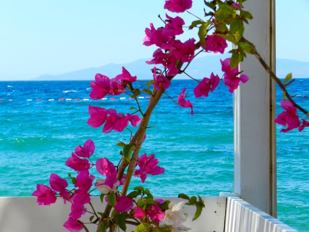 Eski Foça Public Beach — photo by Lairuth
