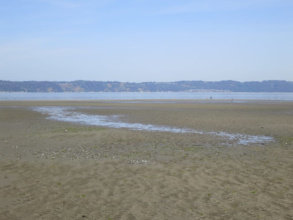 Dash Point State Park Beach view 3