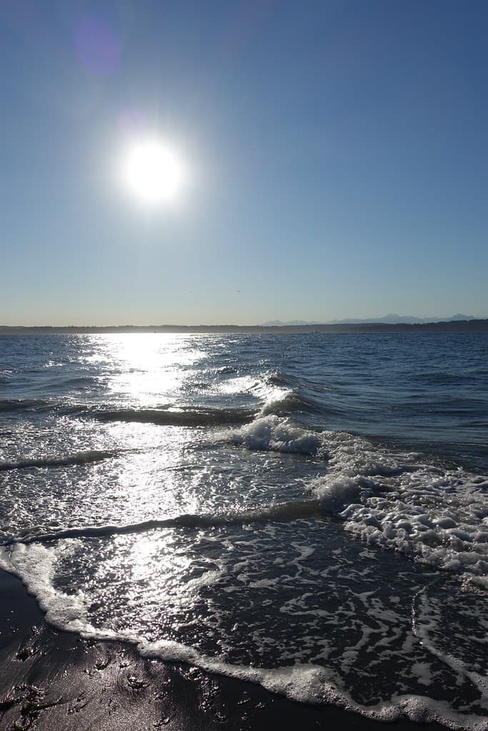 Discovery Park South Beach — photo by Sean Munson