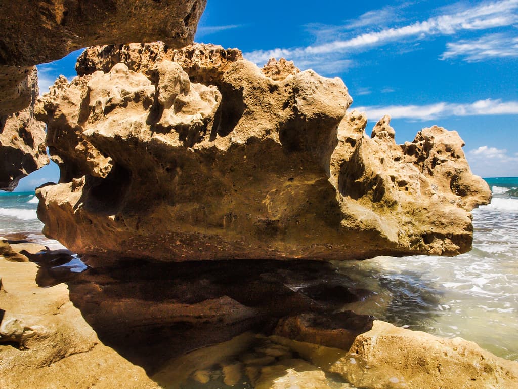 Hanging On: Blowing Rocks Nature Preserve