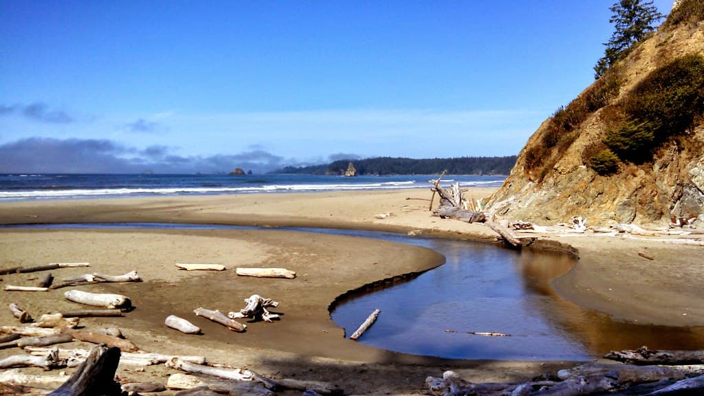 Mosquito Creek Beach