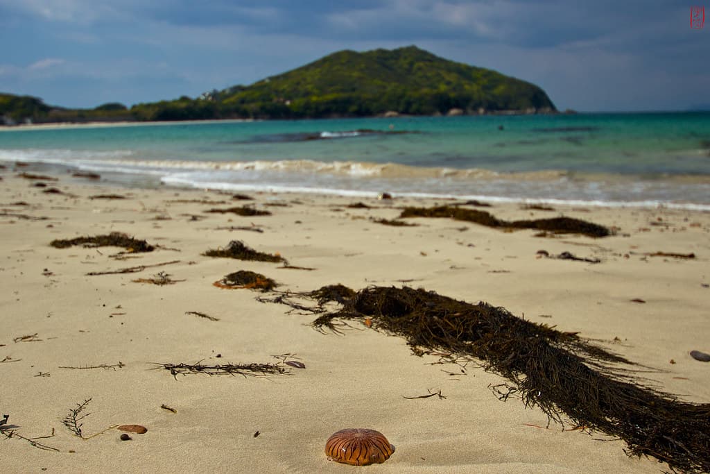 Kowaura Beach — photo by Ye-Zu
