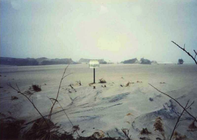 Christmas 1994 nor'easter