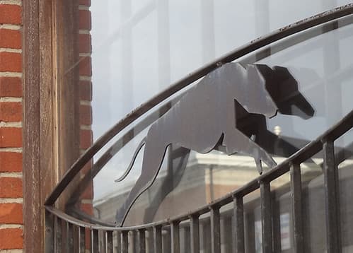 Greyhound window