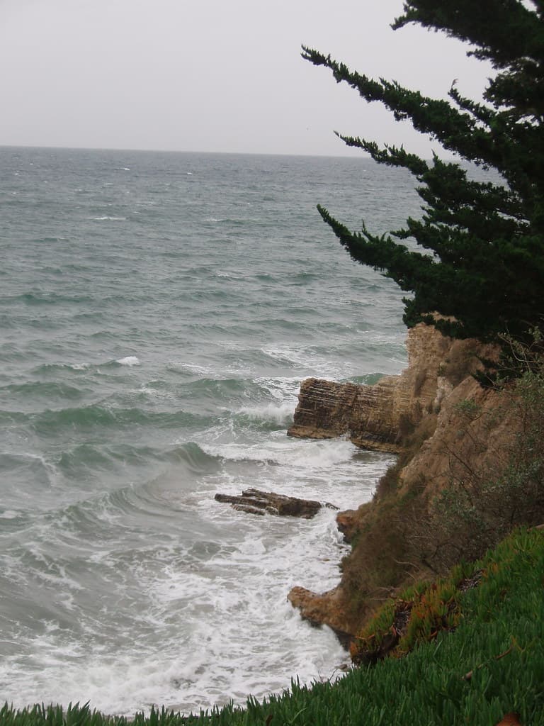 Leadbetter Point Beach view 2