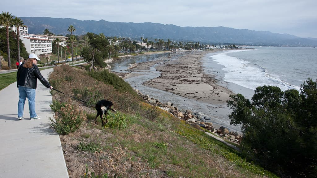 King Tides SB3